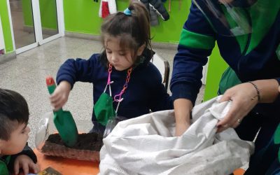 Nuestro primer gran proyecto: La Huerta