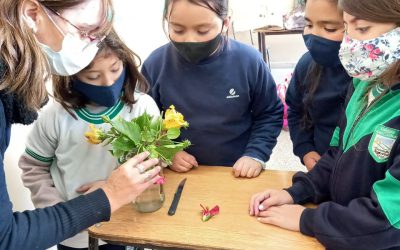 Disfrutando el arte de aprender ciencias